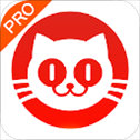 猫眼专业版app​​​​​​​